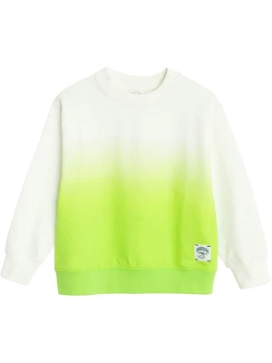 COOL CLUB Bluza w kolorze zielono-białym rozmiar: 134