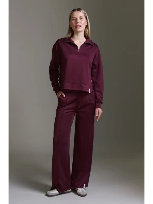 Cotton Candy Spodnie dresowe w kolorze bordowym rozmiar: S