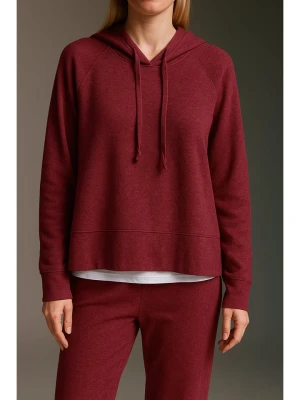 Cotton Candy Sweter w kolorze bordowym rozmiar: M