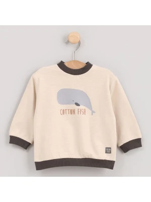 Cotton Fish Bluza w kolorze beżowym rozmiar: 110