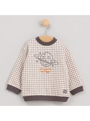 Cotton Fish Bluza w kolorze beżowym rozmiar: 128