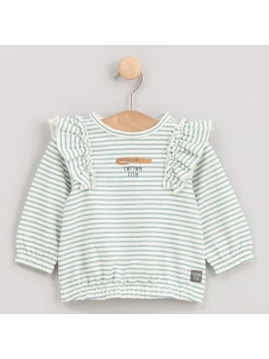 Cotton Fish Bluza w kolorze kremowo-błękitnym rozmiar: 116