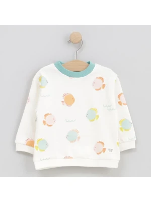 Cotton Fish Bluza w kolorze kremowym rozmiar: 80