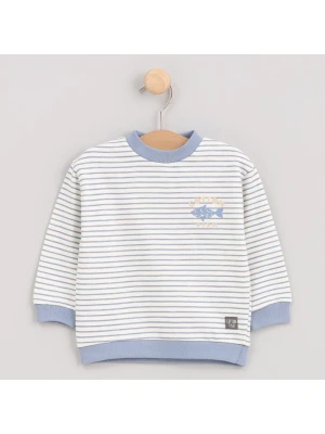 Cotton Fish Bluza w kolorze kremowym rozmiar: 140