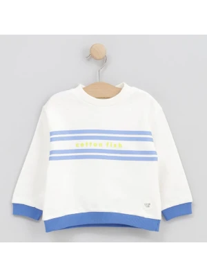 Cotton Fish Bluza w kolorze kremowym rozmiar: 80