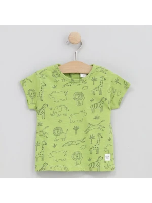 Cotton Fish Koszulka w kolorze zielonym rozmiar: 86