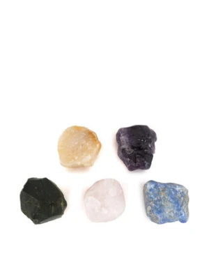 Crocs Ozdoba do butów 10012936 5 PACK Kolorowy