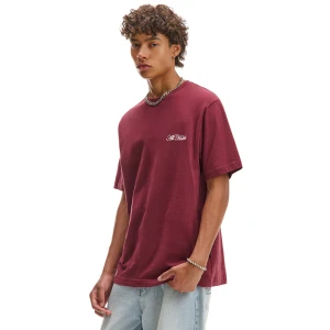 Cropp - Bordowy T-shirt z haftem - kasztanowy