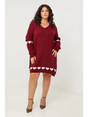 Curvy Lady Sukienka dzianinowa w kolorze bordowym rozmiar: 40 / 42
