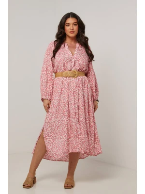 Curvy Lady Sukienka w kolorze jasnoróżowym rozmiar: 40/42