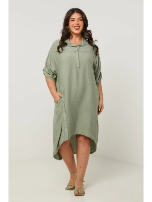Curvy Lady Sukienka w kolorze khaki rozmiar: 48/50