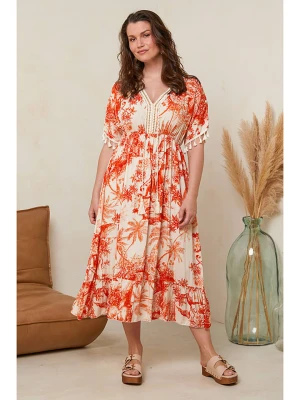 Curvy Lady Sukienka w kolorze pomarańczowo-kremowym rozmiar: 48/50