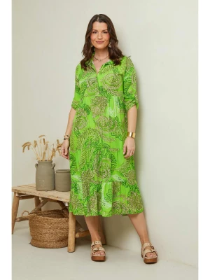 Curvy Lady Sukienka w kolorze zielonym ze wzorem rozmiar: 44/46