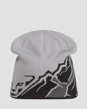 Czapka Dynafit Graphic Beanie