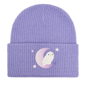 Czapka Harry Potter CEO-ACCCS-AW25-323WBHP Fioletowy