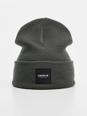 Czapka icepeak
