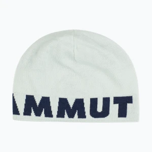 Czapka zimowa Mammut Logo silver sage/marine