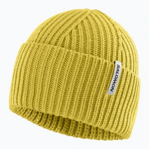 Czapka zimowa Salomon Snowbird whisper cress green
