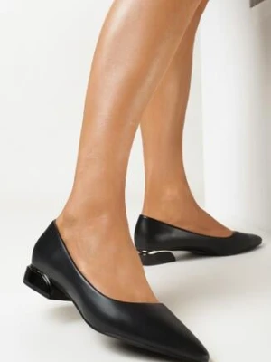 Czarne Czółenka na Niskim Obcasie z Metaliczną Wstawką i Noskiem w Szpic Tinariva