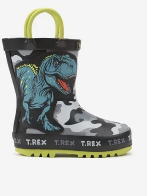 Czarne Kalosze w Dinozaury Diolenda wink