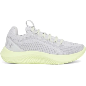 Damskie buty treningowe Under Armour UA W Dynamic 2 - szare
