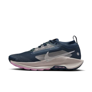 Damskie wodoszczelne buty do biegania w terenie Nike Pegasus Trail 5 GORE-TEX - Niebieski