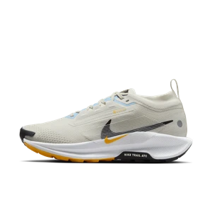 Damskie wodoszczelne buty do biegania w terenie Nike Pegasus Trail 5 GORE-TEX - Szary