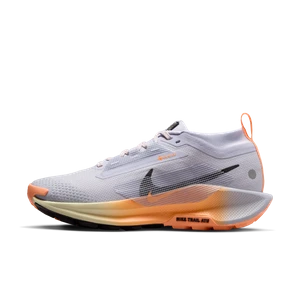 Damskie wodoszczelne buty do biegania w terenie Nike Pegasus Trail 5 GORE-TEX - Szary