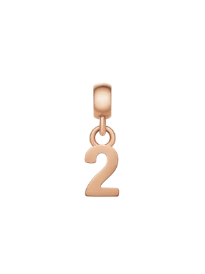 Daniel Wellington DW Charm Number 2 Rose Gold