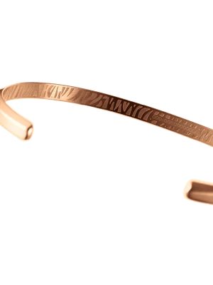 Daniel Wellington DW Classic Bracelet Tiger L Rose Gold