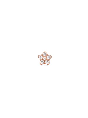 Daniel Wellington DW Earrings Micro Rose Gold