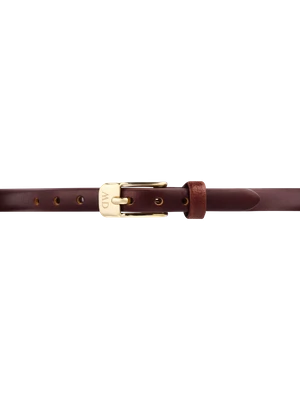 Daniel Wellington DW Strap Leather Gold