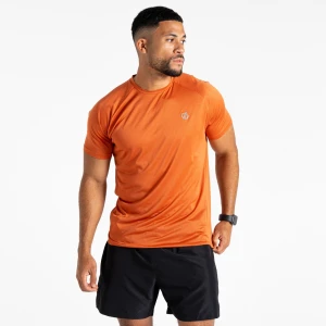 Dare 2b Dare 2b Koszulka męska szybkoschnąca Accelerate Brązowy, Rozmiar: