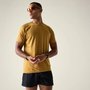 Dare 2b   Koszulka męska szybkoschnąca Persist Brązowy, Rozmiar: