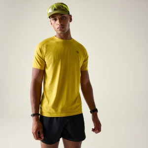 Dare 2b Dare 2b Koszulka męska szybkoschnąca Persist Żółty, Rozmiar: