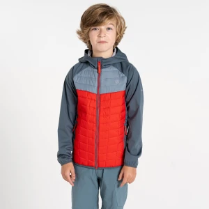 Dare 2b Dare 2b Kurtka hybrydowa dziecięca Explore II Szary, Rozmiar: