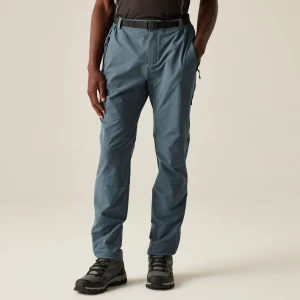 Dare 2b Dare 2b Spodnie męskie trekkingowe Tuned In Pro Szary, Rozmiar: