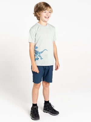 Dare 2b Koszulka funkcyjna "Amuse II" w kolorze szarym rozmiar: 140