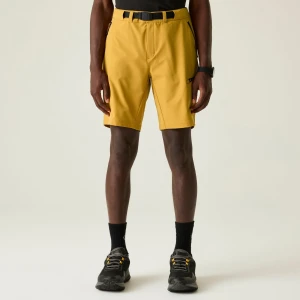 Dare 2b   Spodenki trekkingowe męskie Tuned In Pro Brązowy, Rozmiar: