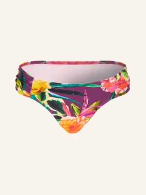 Darling Harbour Majtki Bikini lila
