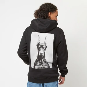 Dawg Hoody, markiMister Tee, Bluzy, w kolorze czarny, rozmiar: