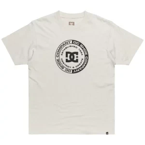 DC Corpo SS Tee ADYZT05396-SCVW, Męskie, Szare, t-shirty, bawełna, rozmiar: S