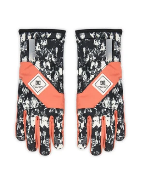 DC Shoes Rękawice narciarskie Franchise ADJHN03015 Kolorowy