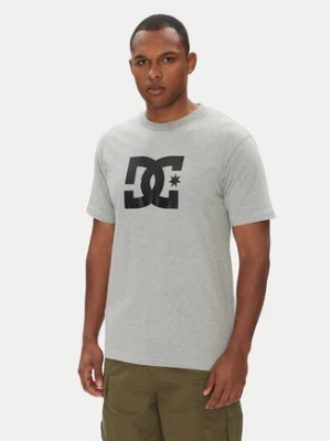 DC T-Shirt ADYZT05373 Szary Regular Fit