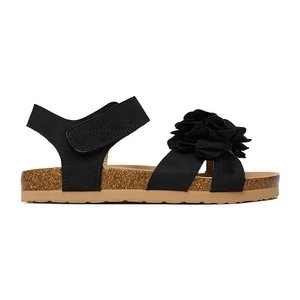 DeeZee CEO-CS20181-20 Czarny