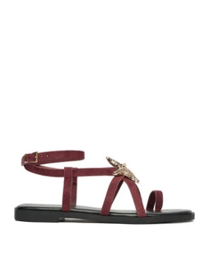 DeeZee Sandały CEO-YLD-F9678 Bordowy