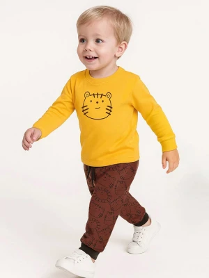 Denokids 2-częściowy zestaw "Cute Cat" w kolorze żółto-brązowym rozmiar: 80 / 86