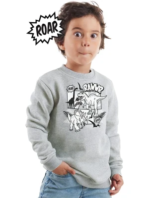 Denokids Bluza w kolorze szarym rozmiar: 110