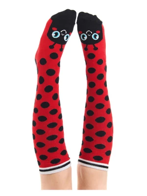 Denokids Podkolanówki "Ladybug" w kolorze czerwonym rozmiar: 128/134