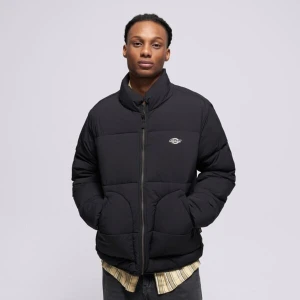 Dickies Kurtka Zimowa Summerdale Puffer